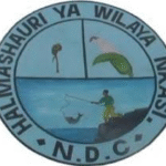 Nkasi District Council