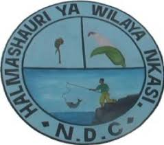 Nkasi District Council