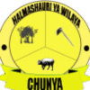 Chunya District Council