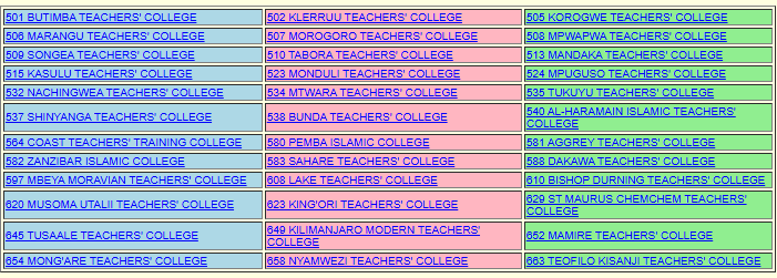 NECTA DSEE Results 2025