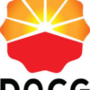 Daqing Oilfield Construction Group Co. Ltd