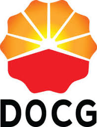 Daqing Oilfield Construction Group Co. Ltd