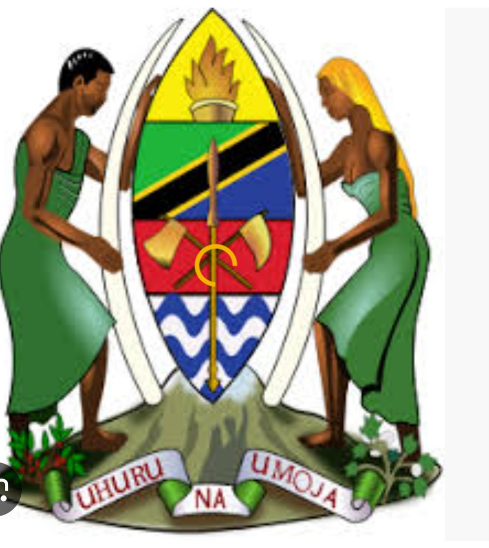 Apply for Jobs in Tanzania: 7 Step-by-Step Guide